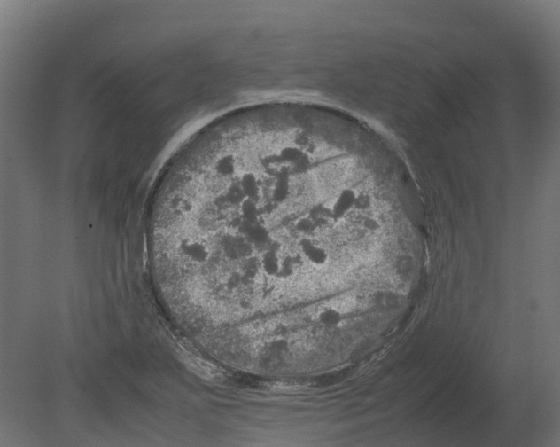 X0000080681271200701121649