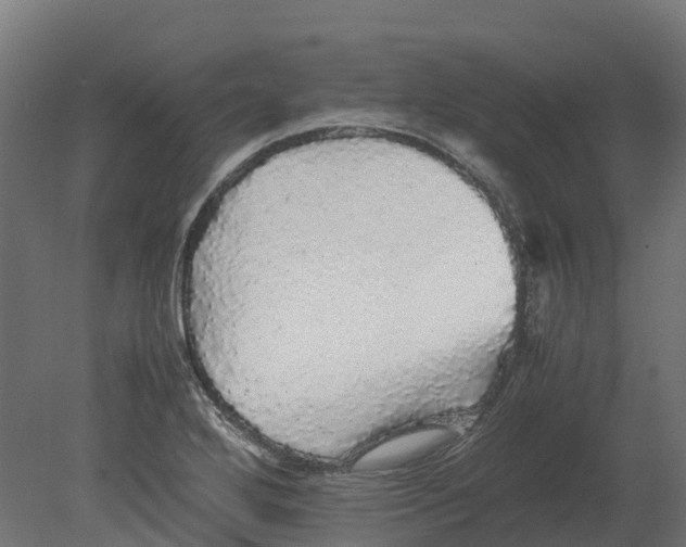 X0000080681272200701121649