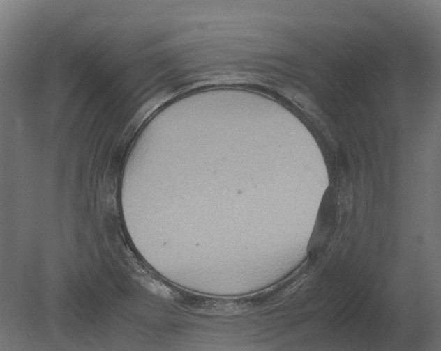 X0000080681273200701121649