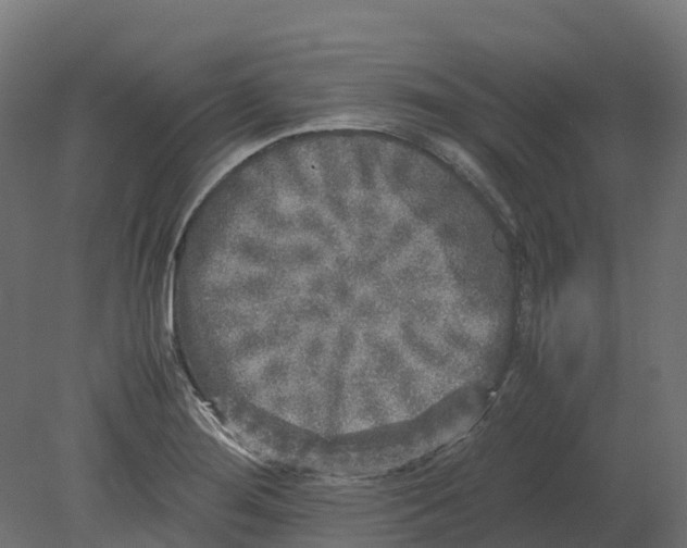 X0000080681276200701121649