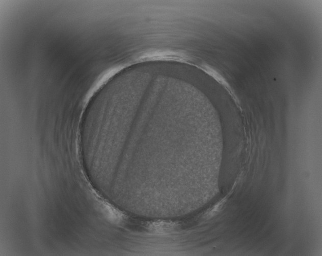 X0000080681277200701121649