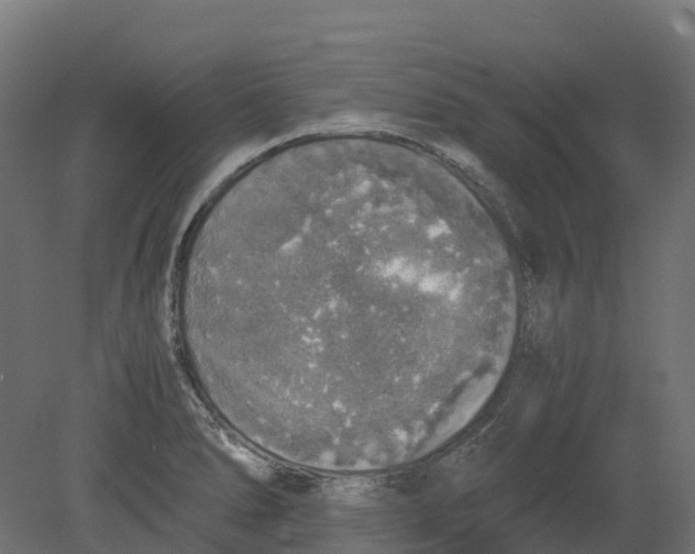 X0000080681278200701121649