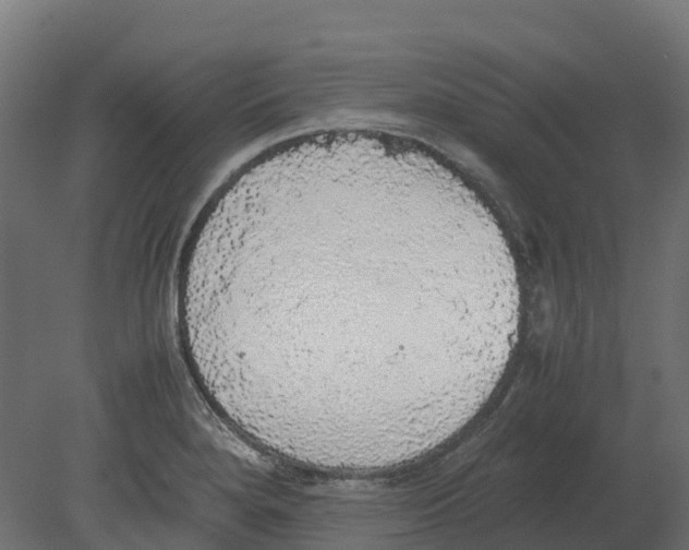 X0000080681280200701121649