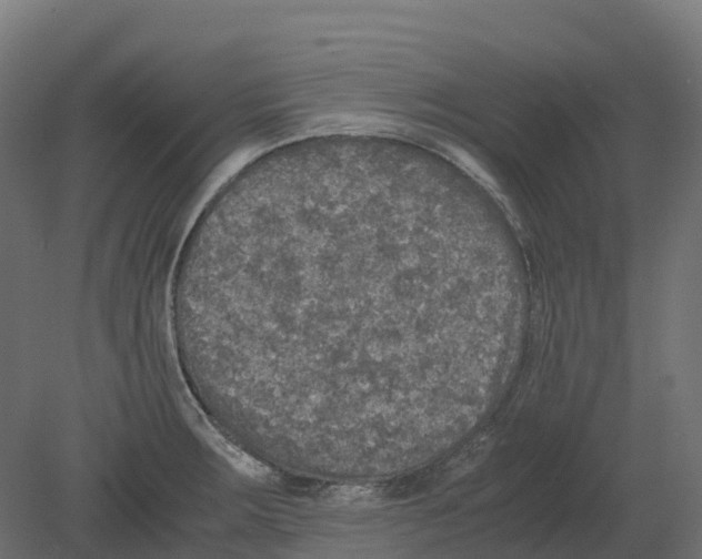 X0000080681283200701121649