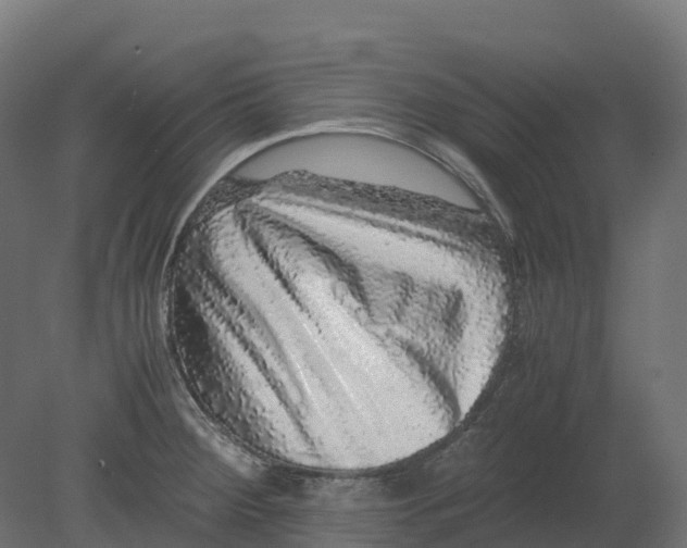 X0000080681284200701121649