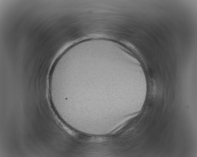 X0000080681286200701121649