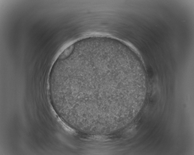 X0000080681287200701121649