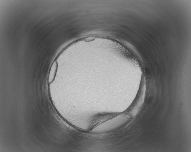 X0000080681288200701121649