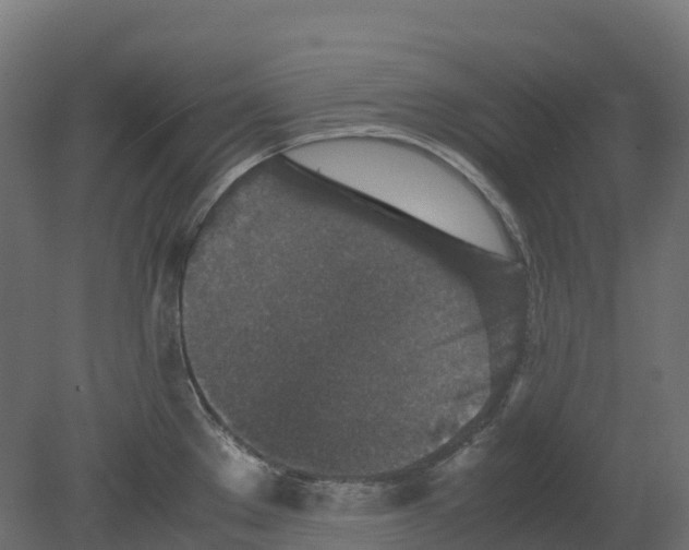 X0000080681289200701121649