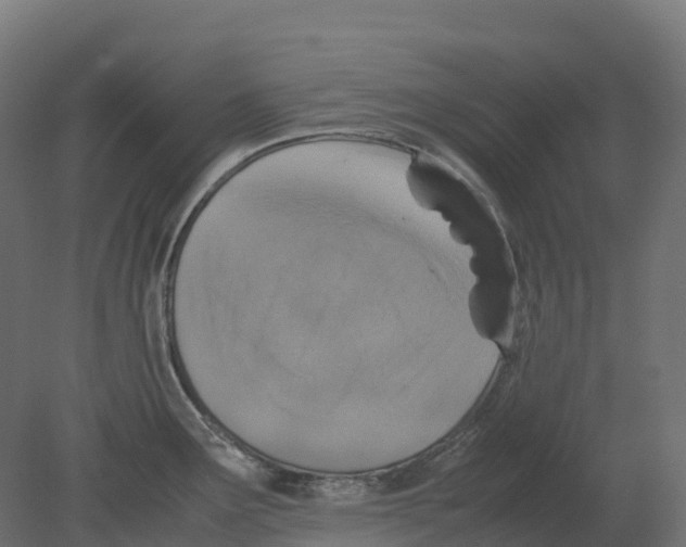 X0000080681291200701121649