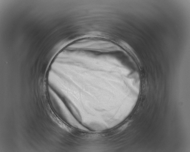 X0000080681292200701121649