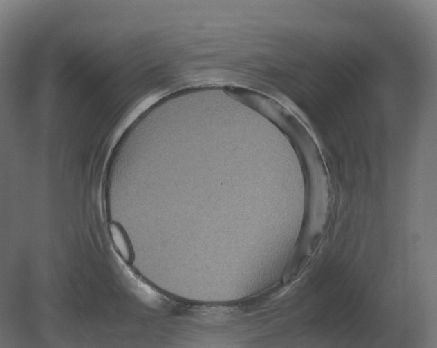 X0000080681293200701121649