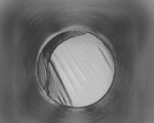 X0000080681296200701121649