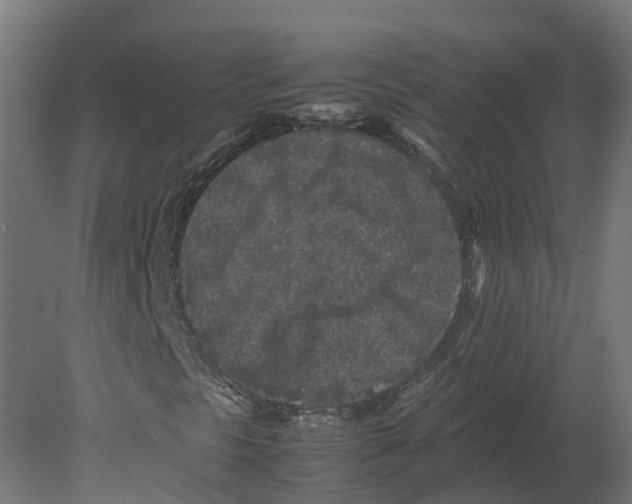 X0000080681297200701121648