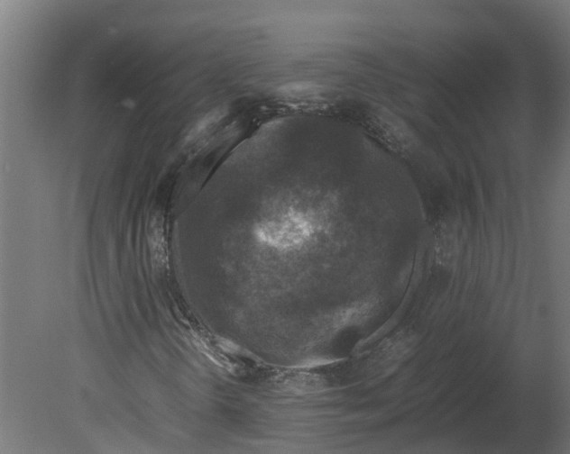 X0000080681298200701121648