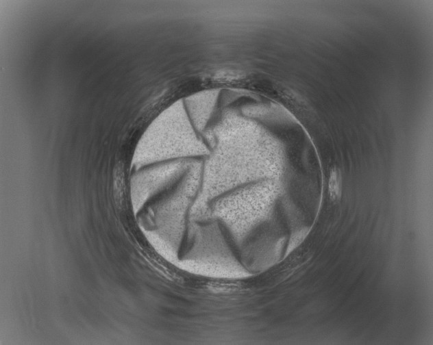 X0000080681299200701121648