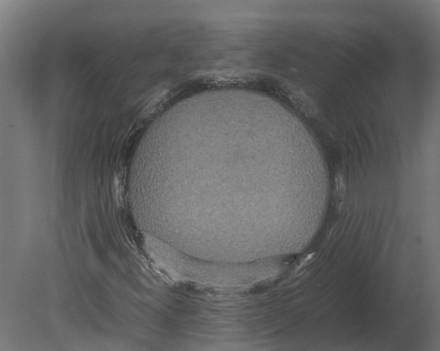 X0000080681300200701121648