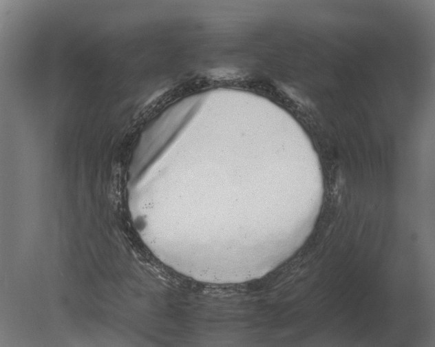 X0000080681301200701121648