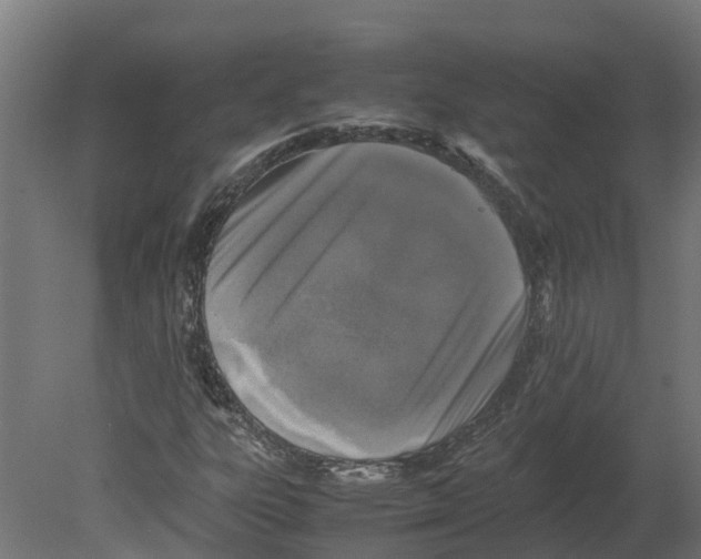 X0000080681303200701121648