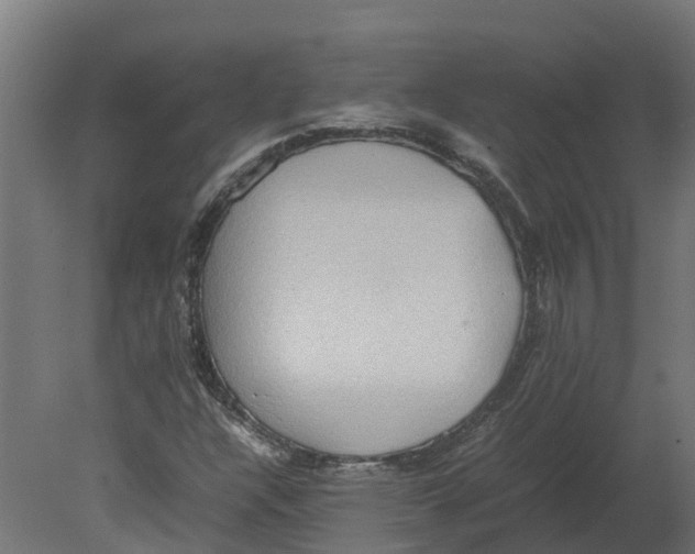 X0000080681304200701121648