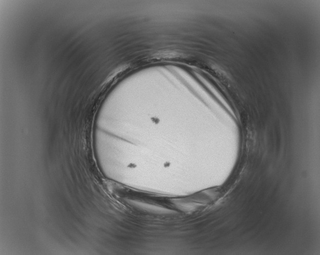 X0000080681305200701121648