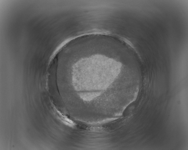 X0000080681310200701121648