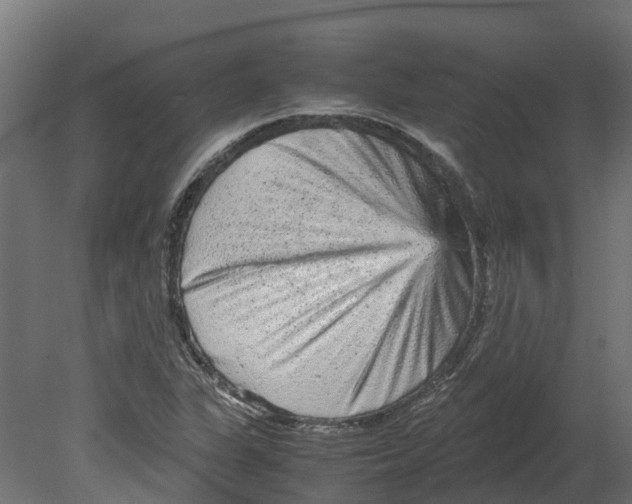 X0000080681311200701121648