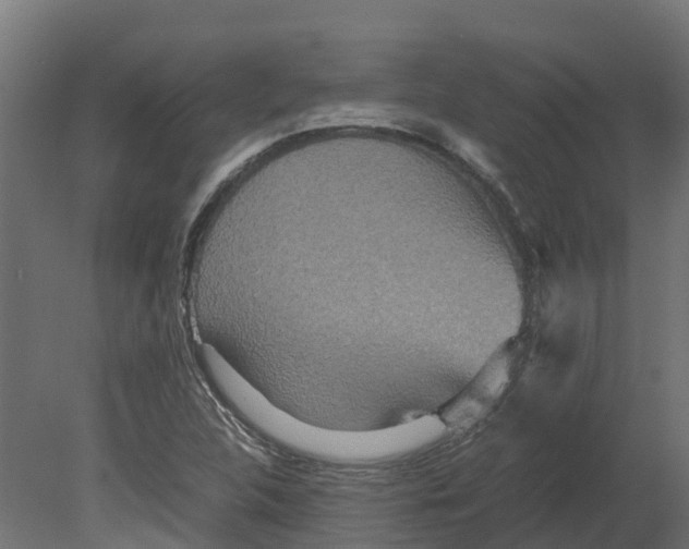 X0000080681312200701121648