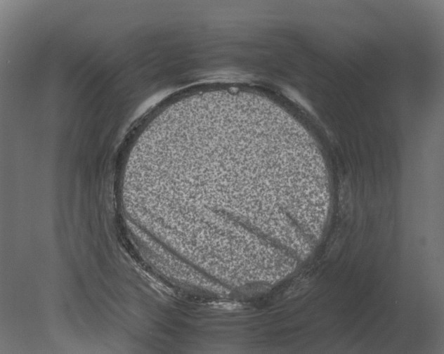 X0000080681315200701121648