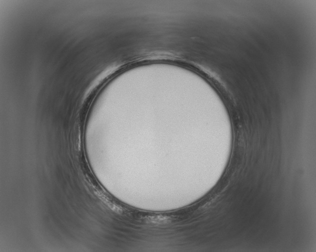 X0000080681317200701121648