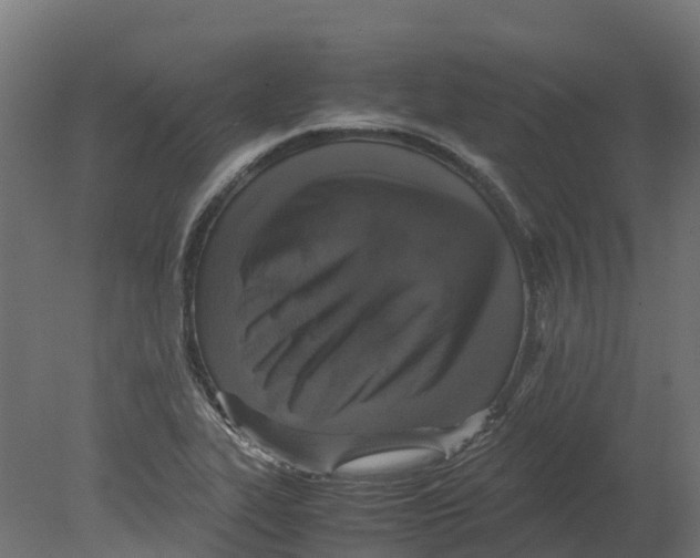 X0000080681319200701121648