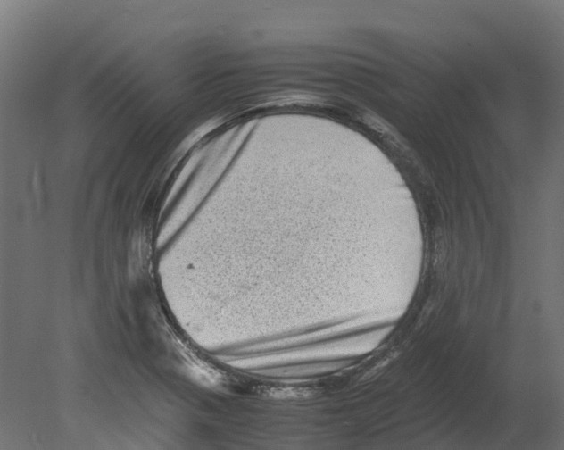 X0000080681321200701121648