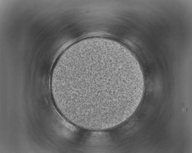 X0000080681322200701121648