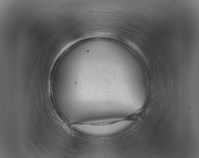 X0000080681324200701121648