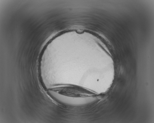 X0000080681325200701121648