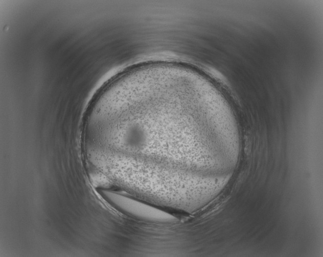 X0000080681326200701121648