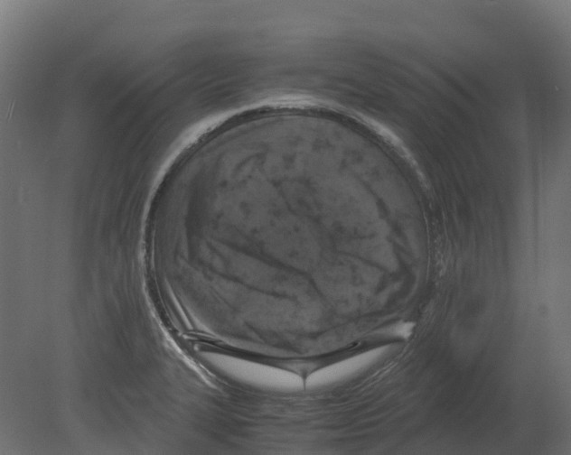 X0000080681327200701121648