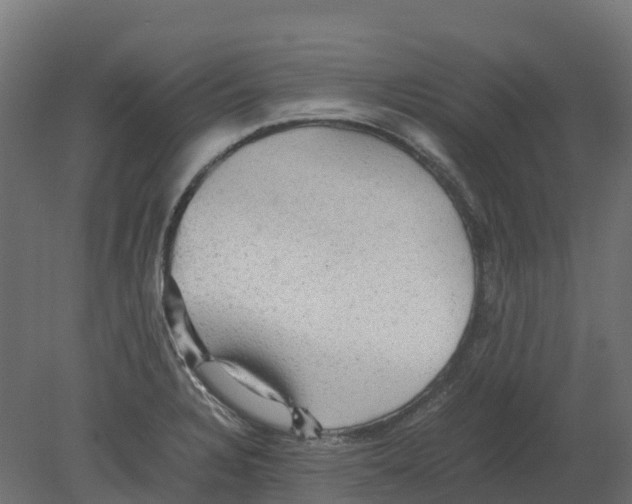 X0000080681328200701121648