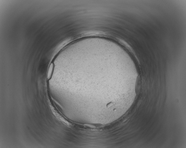 X0000080681330200701121648