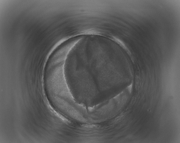 X0000080681331200701121649