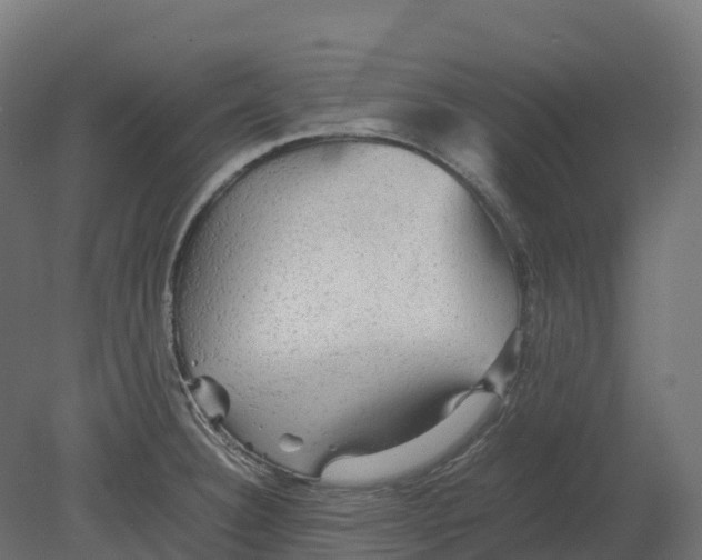 X0000080681332200701121649