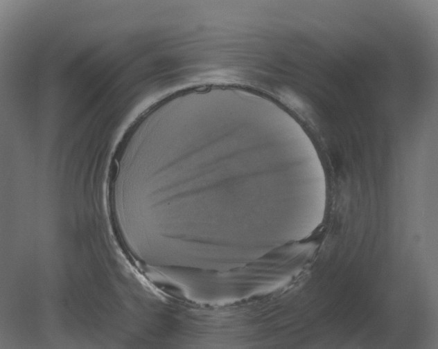 X0000080681334200701121649