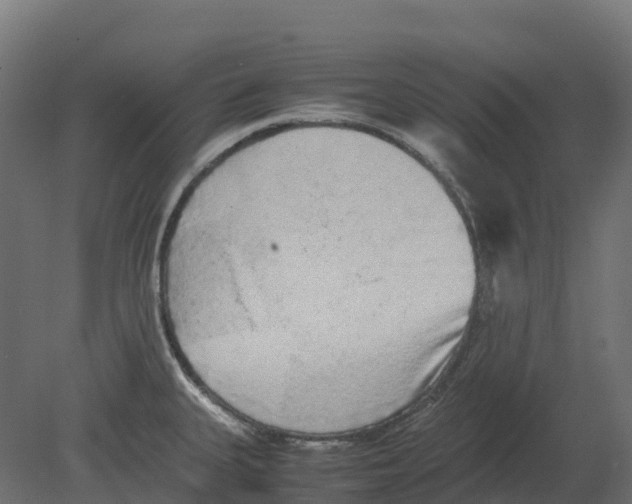 X0000080681335200701121649