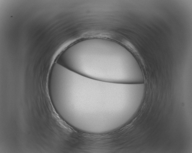 X0000080681336200701121649