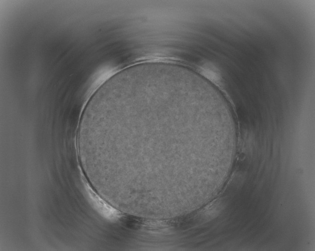 X0000080681338200701121649