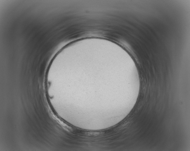 X0000080681339200701121649