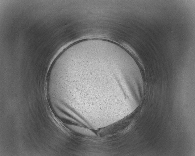 X0000080681340200701121649