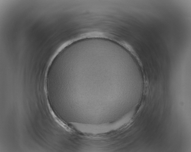 X0000080681342200701121649