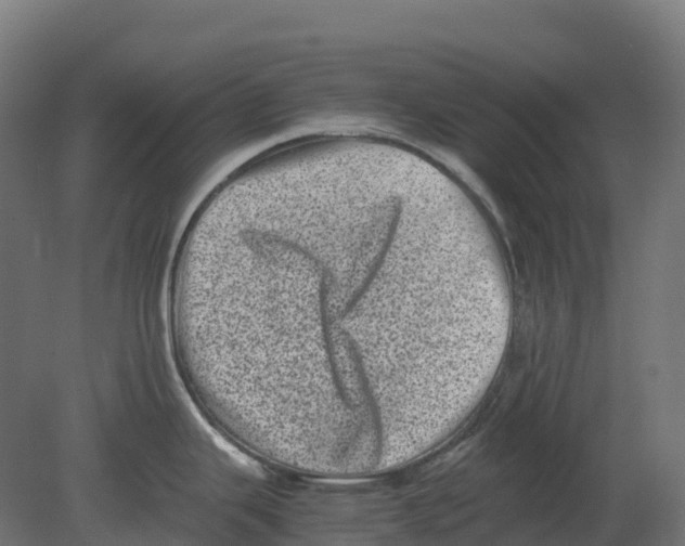 X0000080681343200701121649