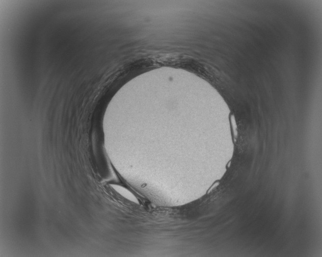 X0000080681345200701121648